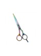 Professional Hair Cutting Scissors